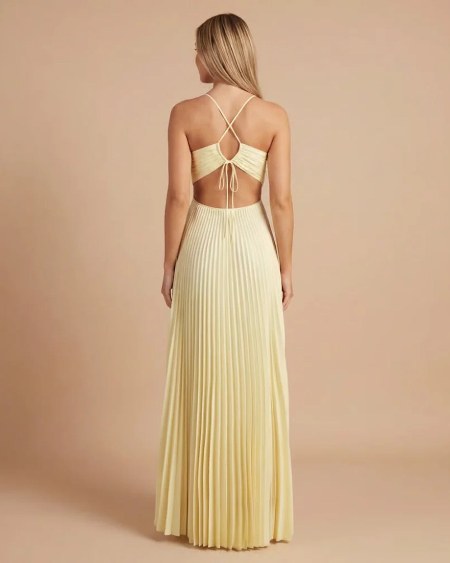 Marielle Women's Maxi Dress | Halter Neck | Pleated Skirt