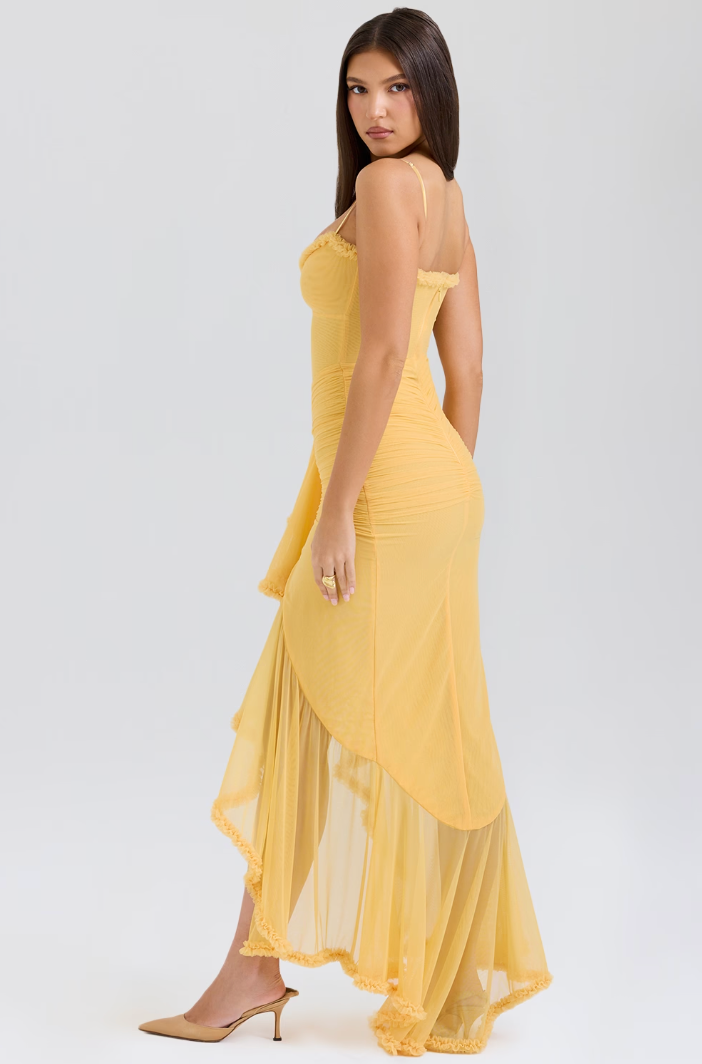 Serena Avondjurk – Ruffles en Sweetheart Halslijn 5